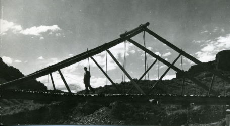 People posing with bridges