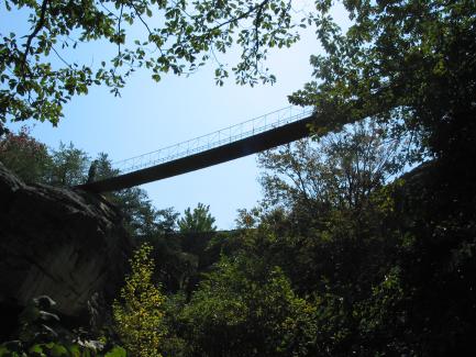 Swingers in lookout mountain tn