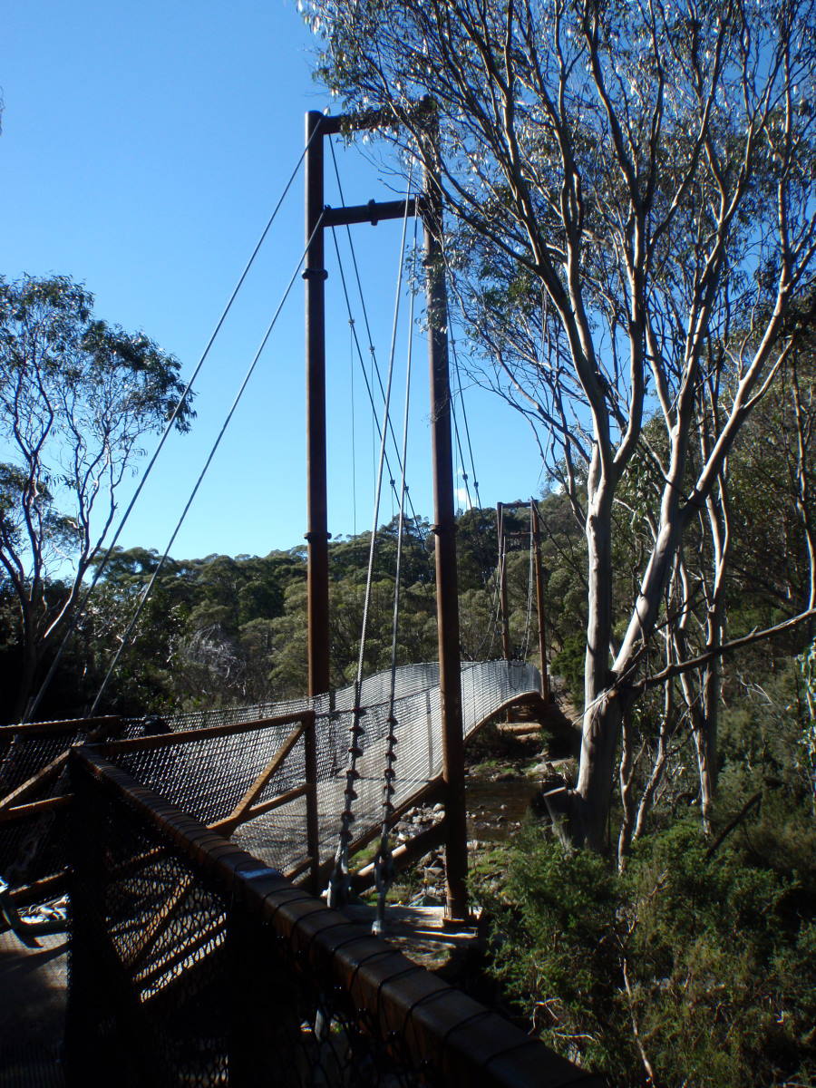 dcauthredbo.jpg