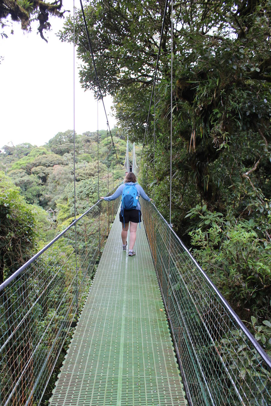 ddcrmonteverde5-8.jpg