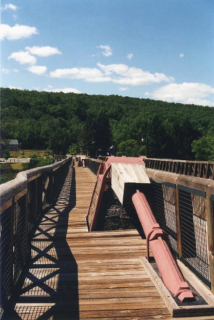 ponyroebling8.jpg