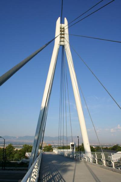 pouteccles9.jpg