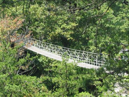 Bridgemeister Lookout Mountain Swinging Bridge